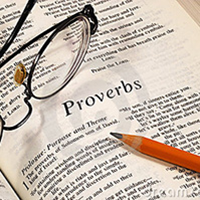 Bible study guides